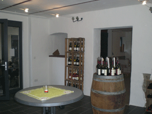 Vinitek1